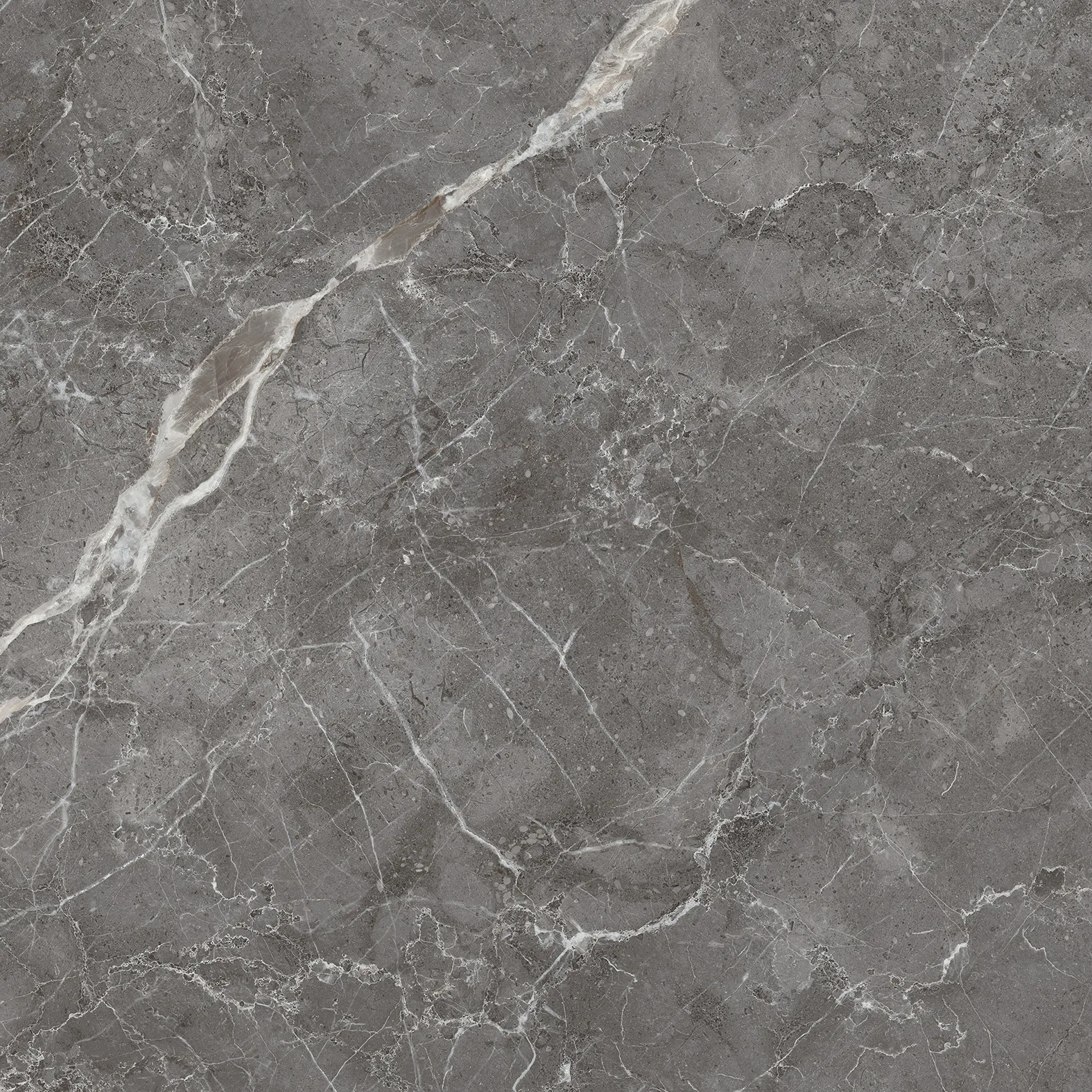 CR6001-A Esperia Grigio Carving 60x60 Arcadia Ceramica