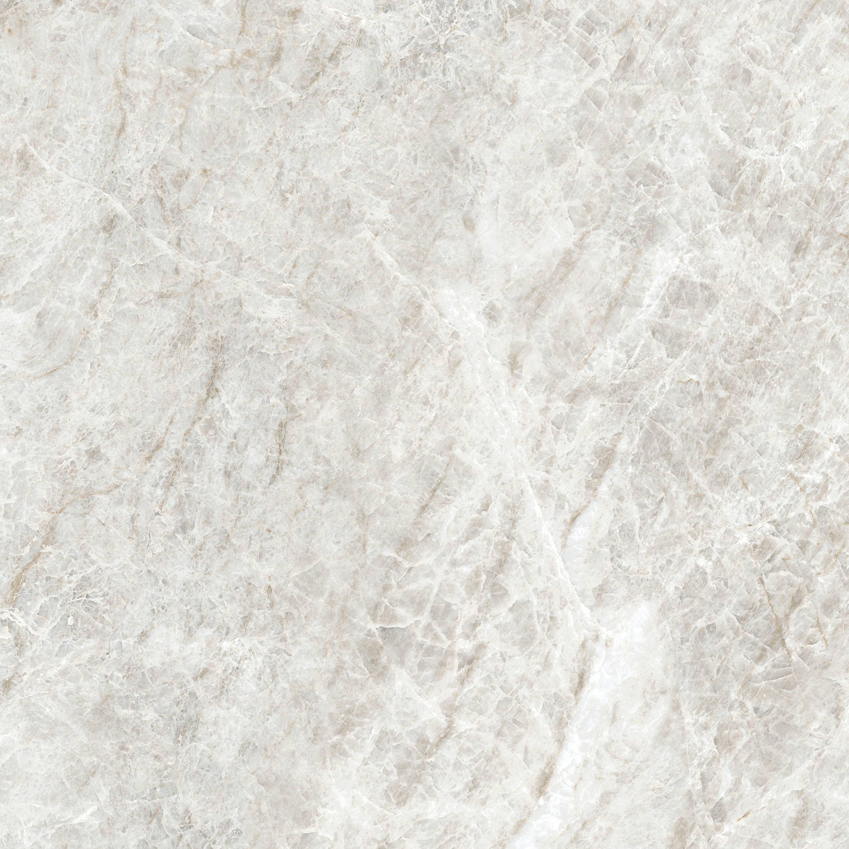 784549 Iconic Life Rice Yamuna Glossy 60x60 Cerim фото 13