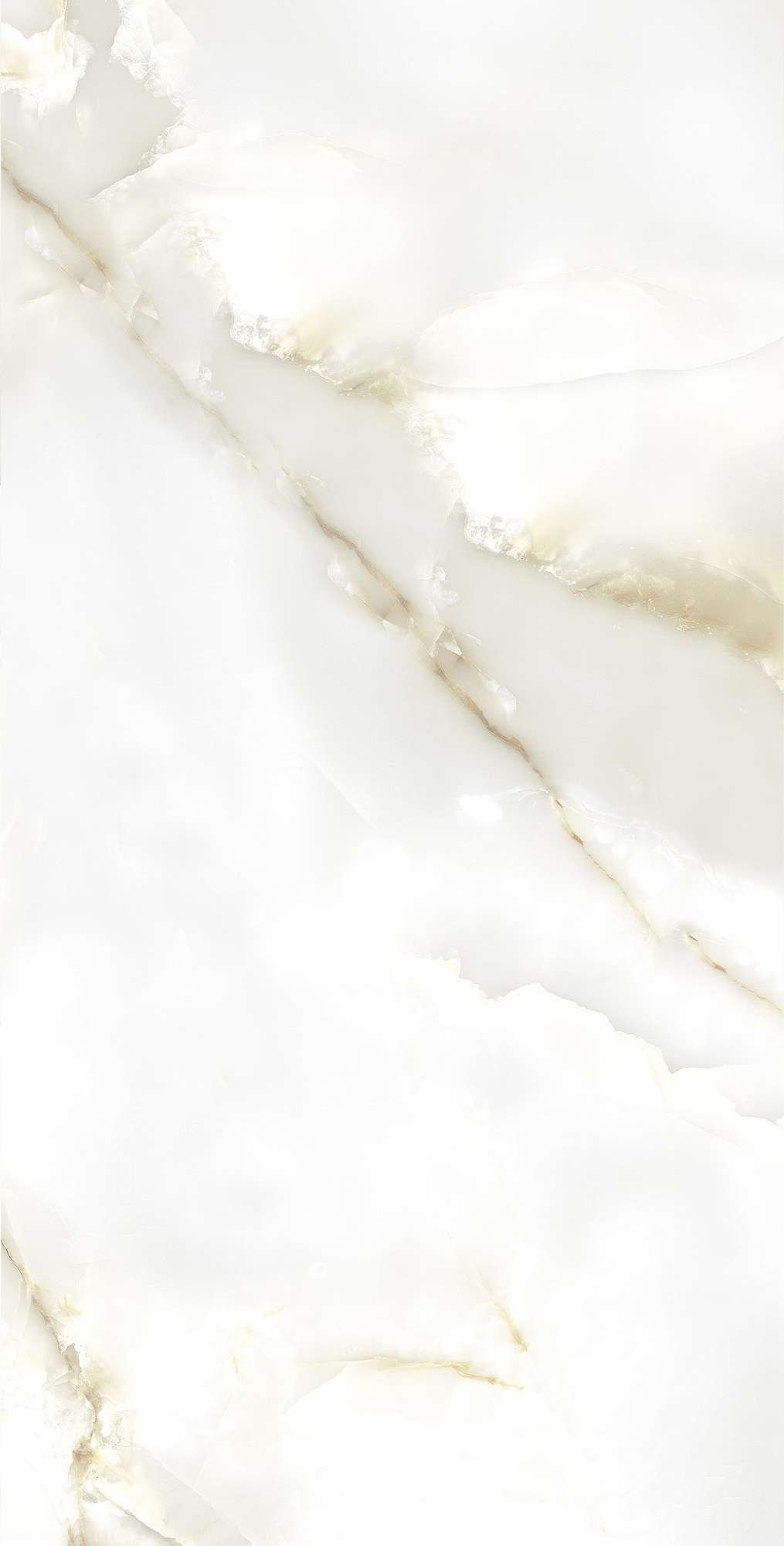 FP1003-A Primo Onyx Full Polished 60x120 Arcadia Ceramica