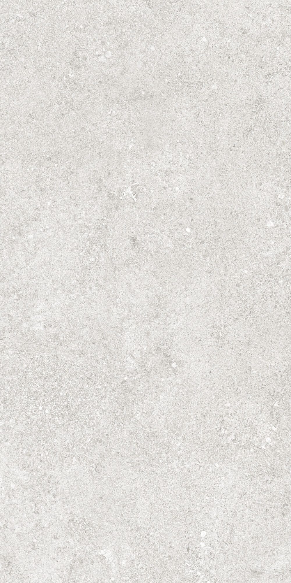 36904 Cluny Silver 4D/50X100X2/A/R 50x100 Peronda фото 15