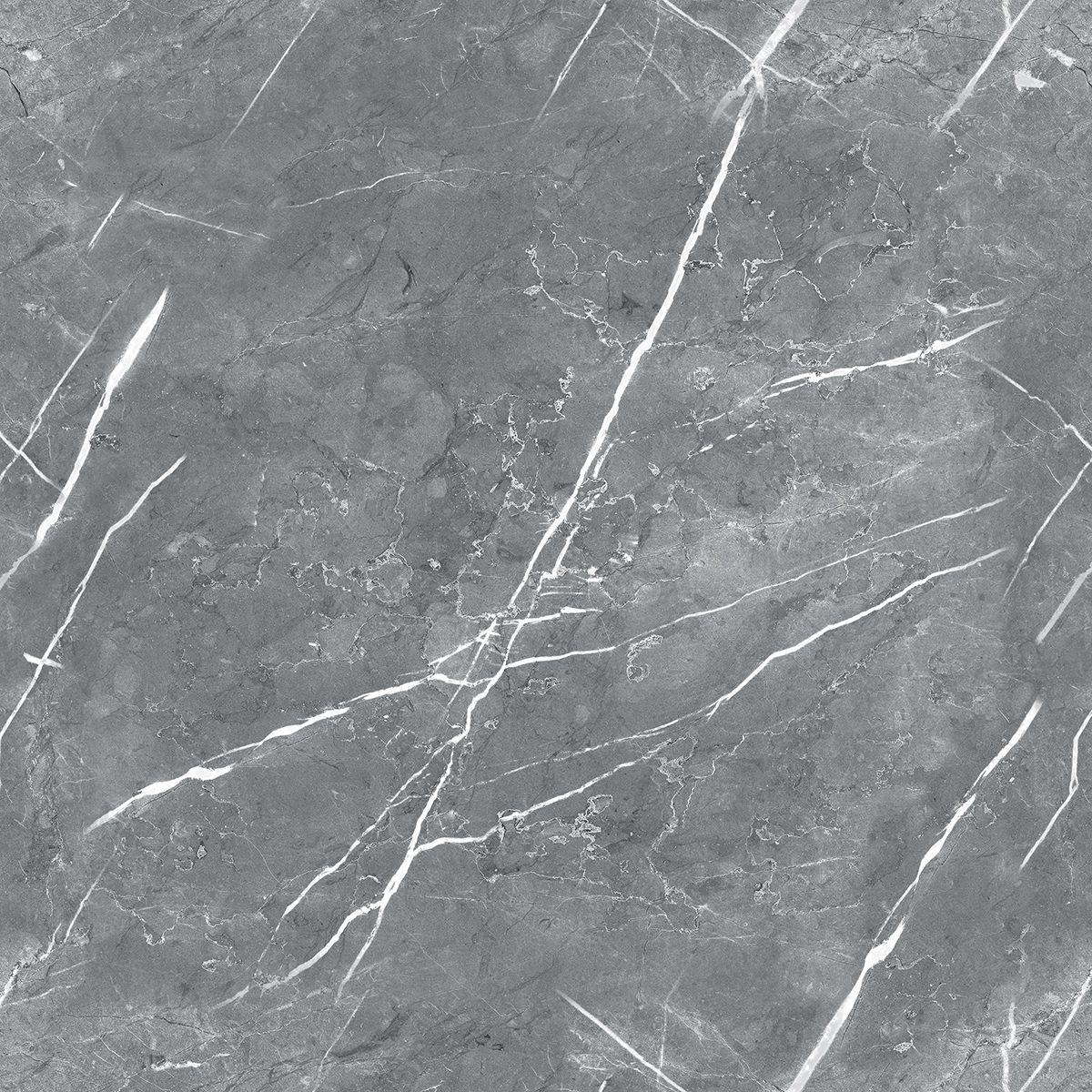 R_PR1019 Carnico Grey Polished 60x60 Royce