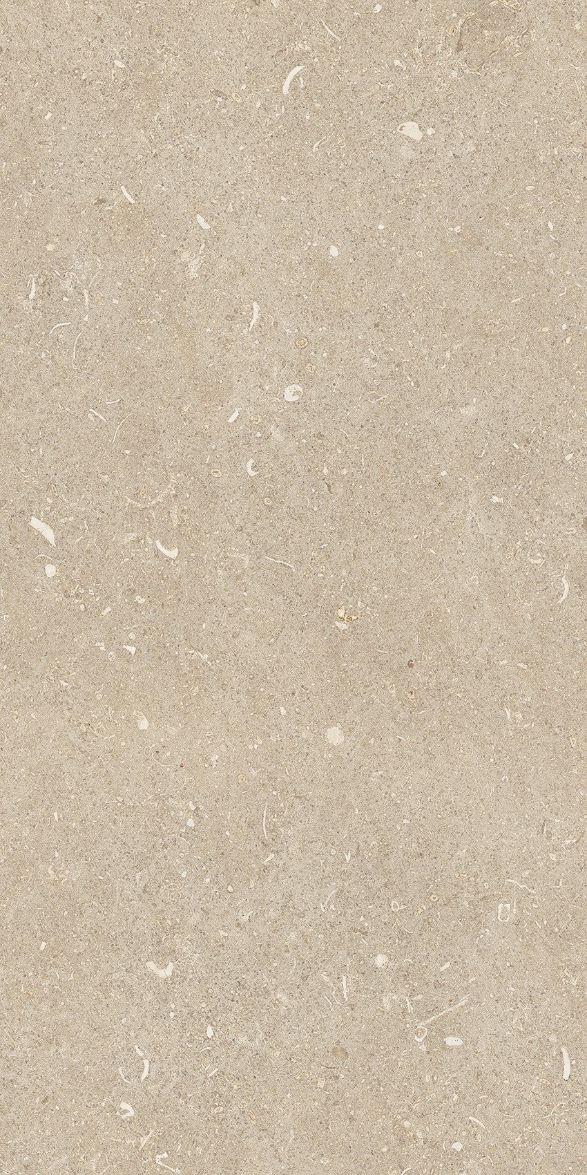 785489 Rinascenza Arena Conchiglia Matte 30x60 Casa Dolce Casa фото 2