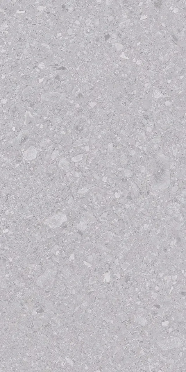 ZA-D12516 Glazed MR 1200x600x9 Vizavi