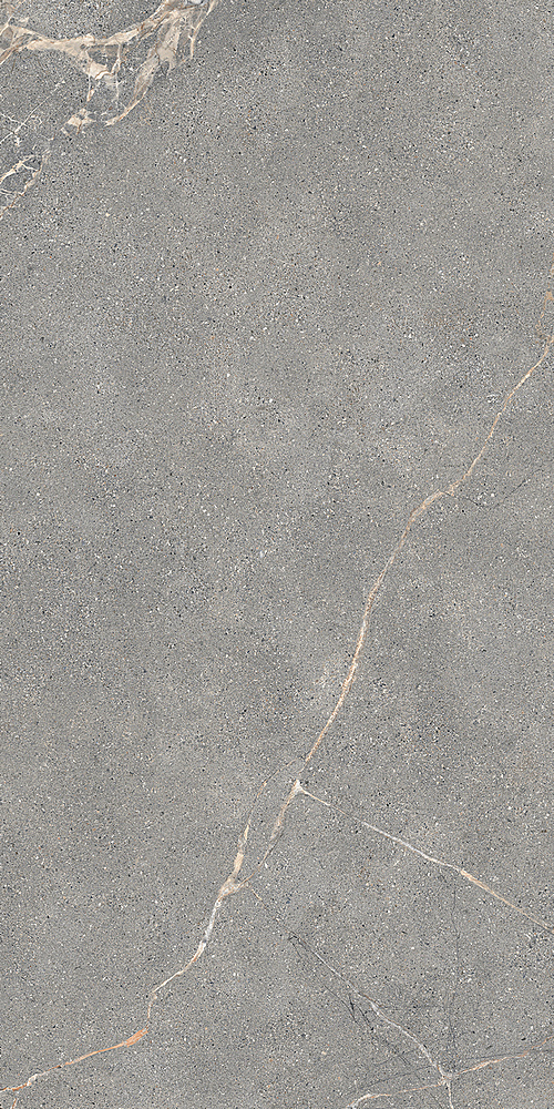LGXAL45 Anthology 04 Gray Natural RT 9.5mm 60x120 Lea Ceramiche
