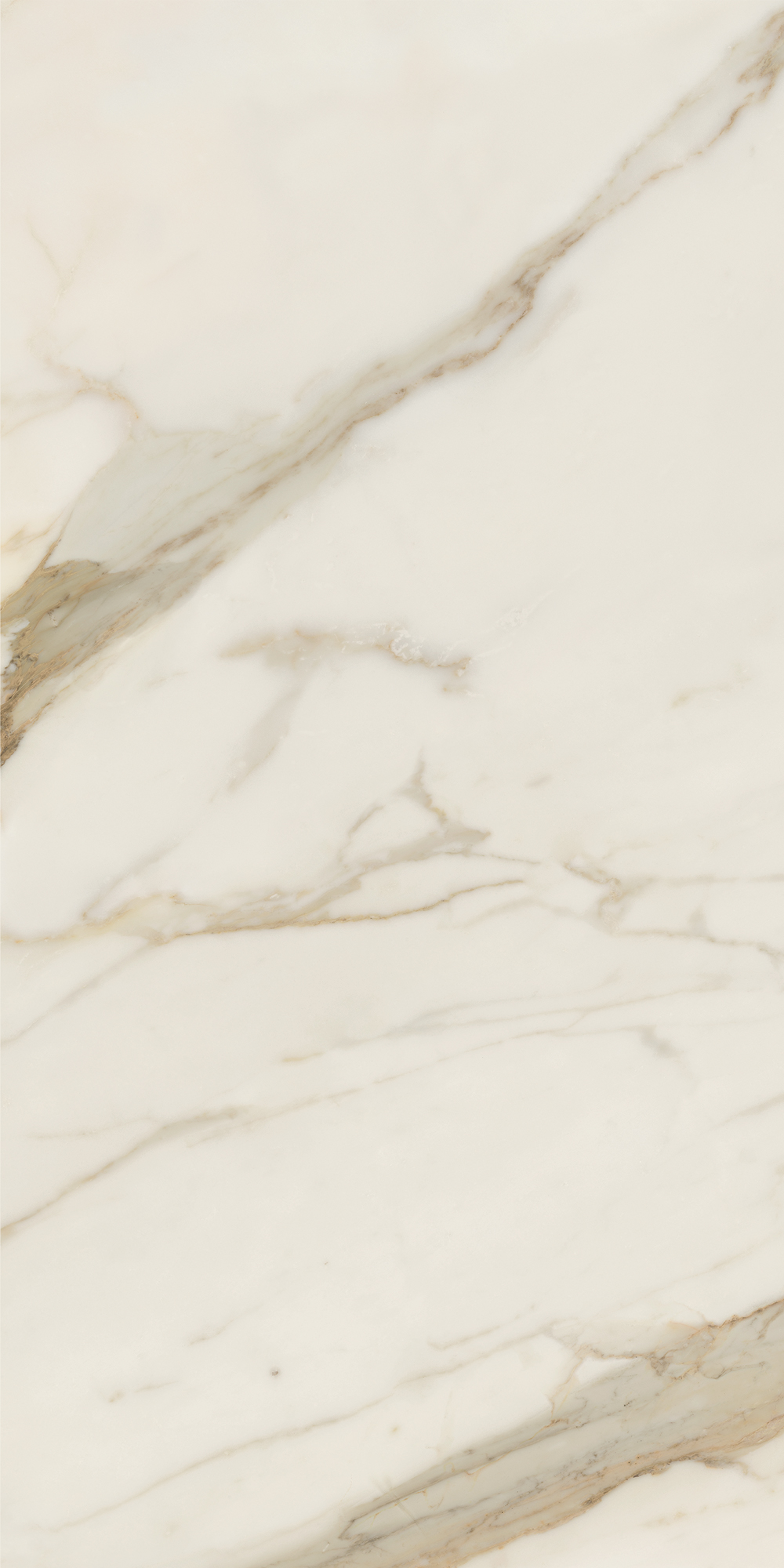 AIAT Golden White Matt RT 60x120 Caesar