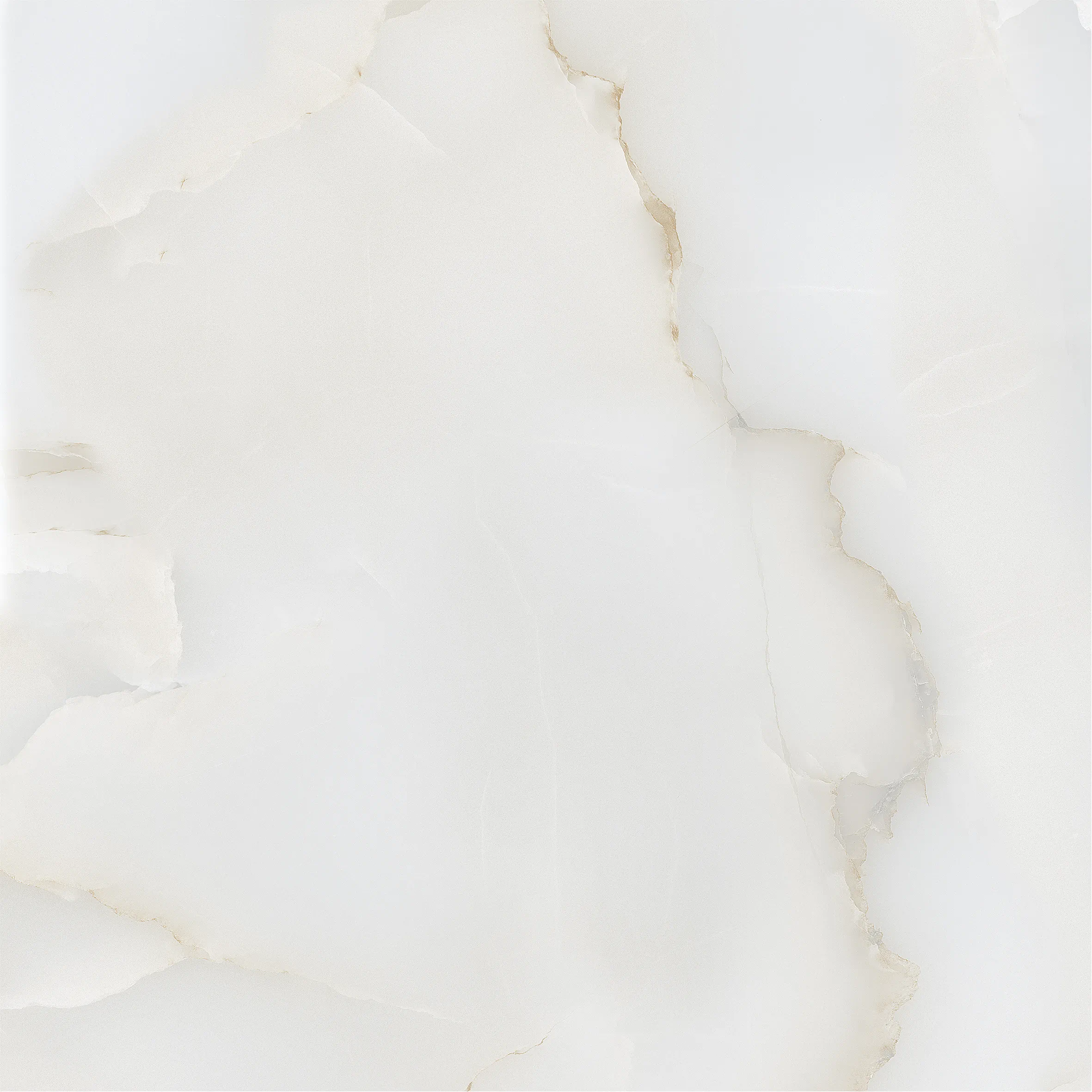 Grace Elara Glossy 60x60 Leman Tile фото 8