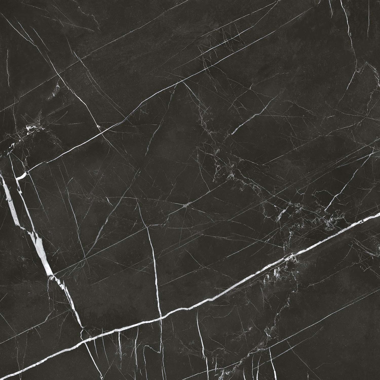 RY006060N Royal Black 60х60 Pieza Ceramica