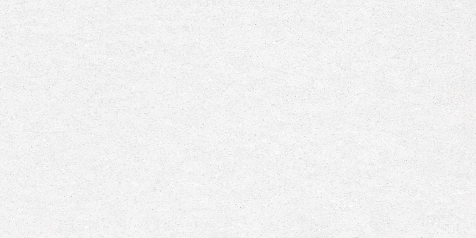 D12038M Absolute Ice 1200x600x9.5 Delacora