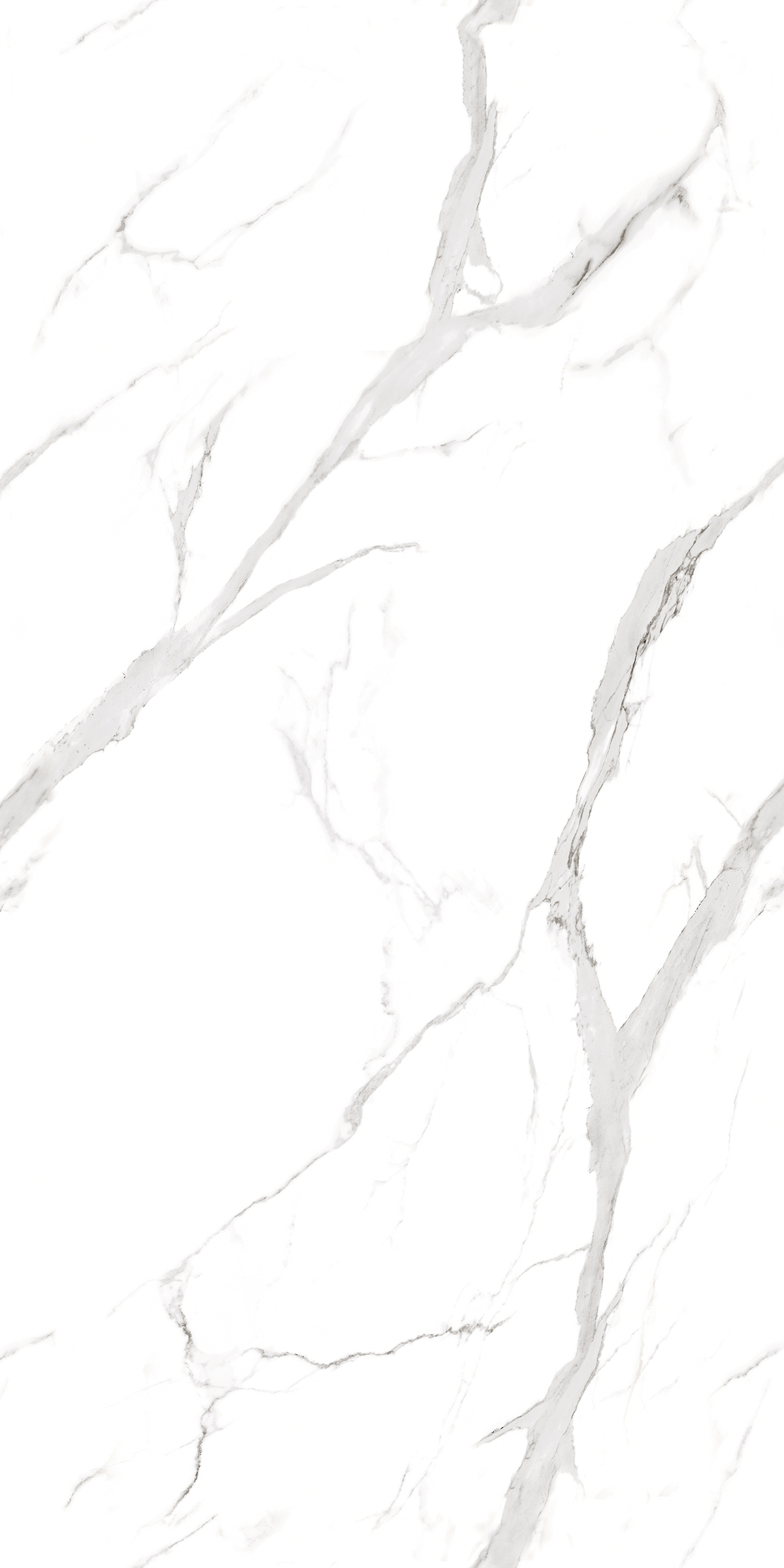 900 Statuario Fantastico 120x60 Artcer