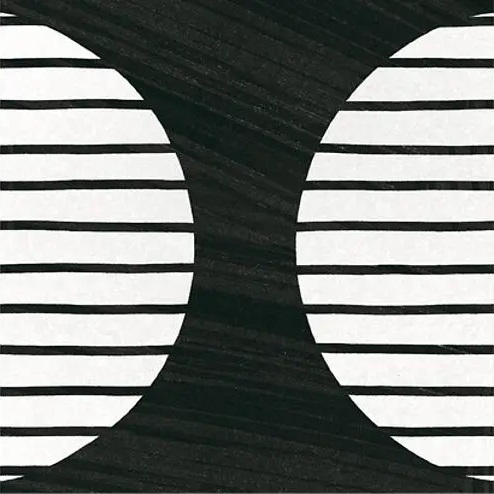 22126 Caprice Moonline B&W 20x20 EQUIPE