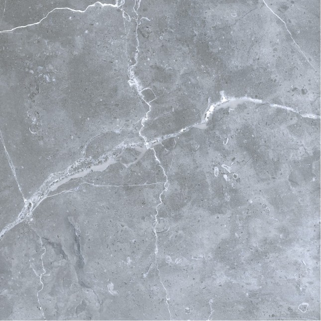 GRS02-16 Petra Northern Silver 60x60 Gresse