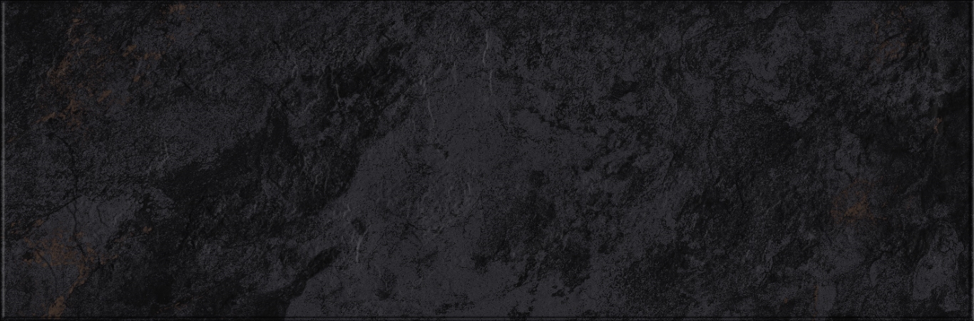 618 Image Dark 32,5х100 Eurotile Ceramica