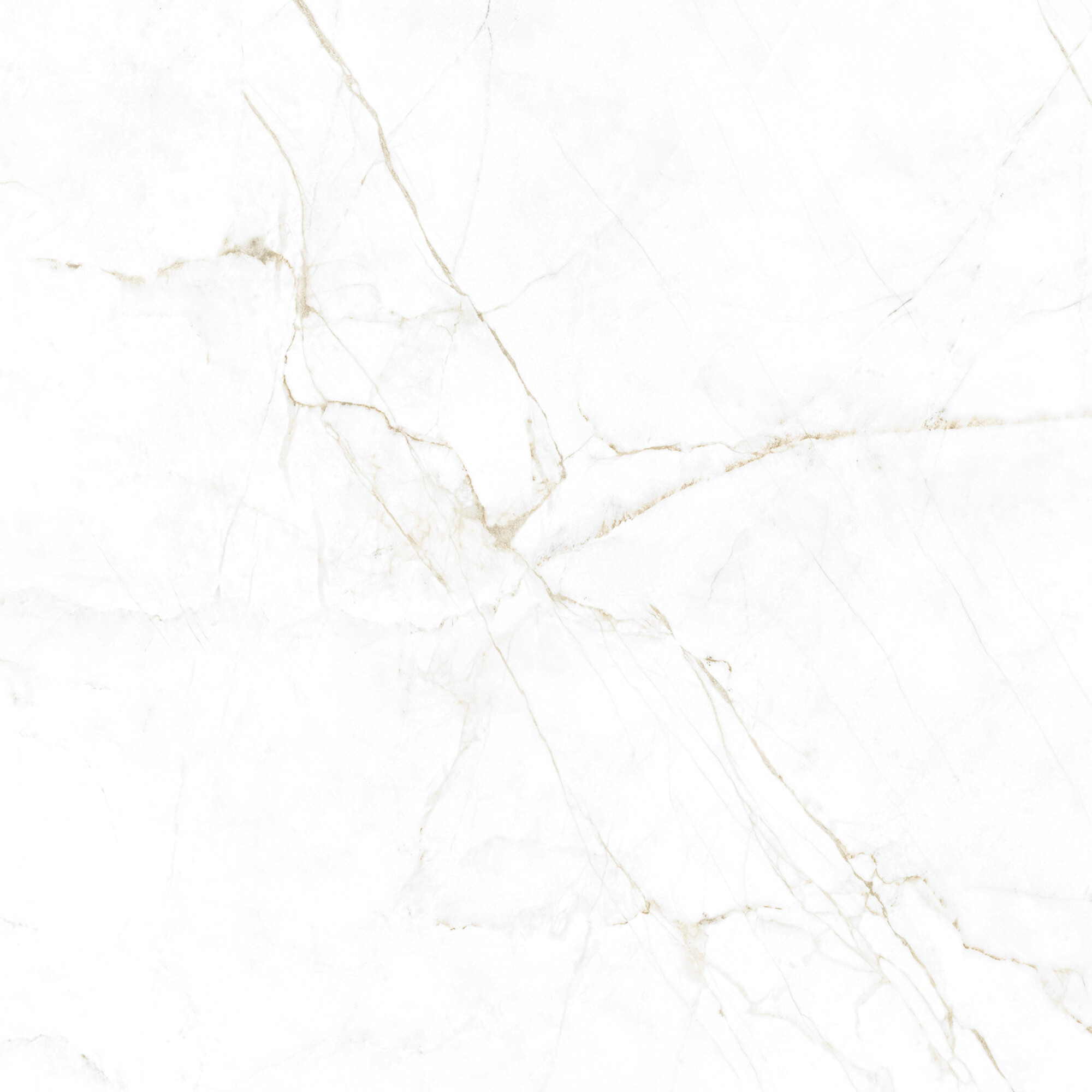 41145 Dual White SP/100x100x0,8/R 100x100 Peronda