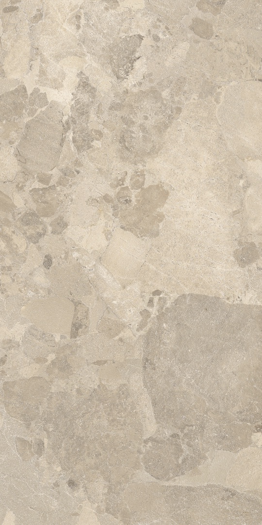 CR BIT 12TO RM 60x120 Imola Ceramica