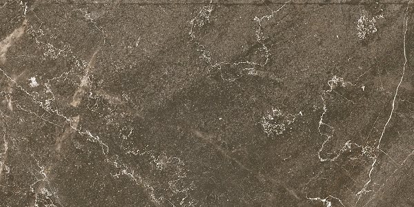 Baron Brown 60x120 Ocean-Ceramic