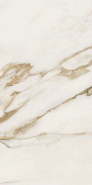 67582 Calac Br Luxr 60x120 Versace (Gardenia Orchidea)