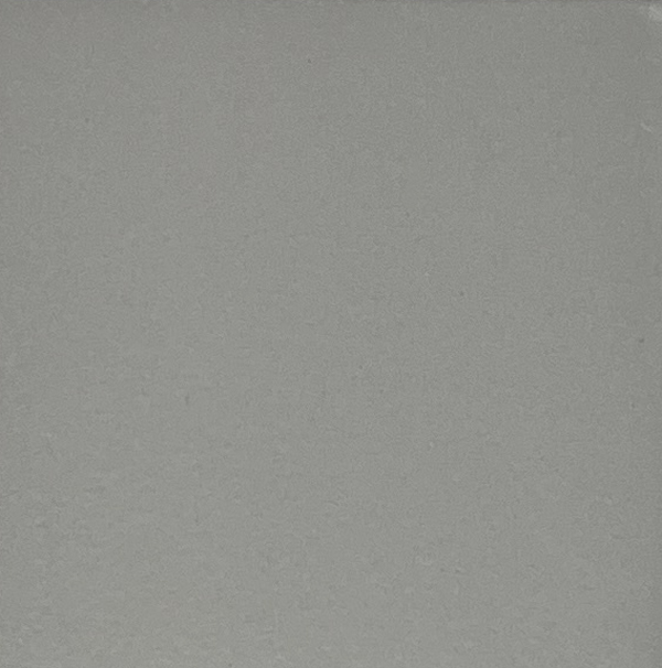 Вегас светло-серая матовая 20х20 AXIMA