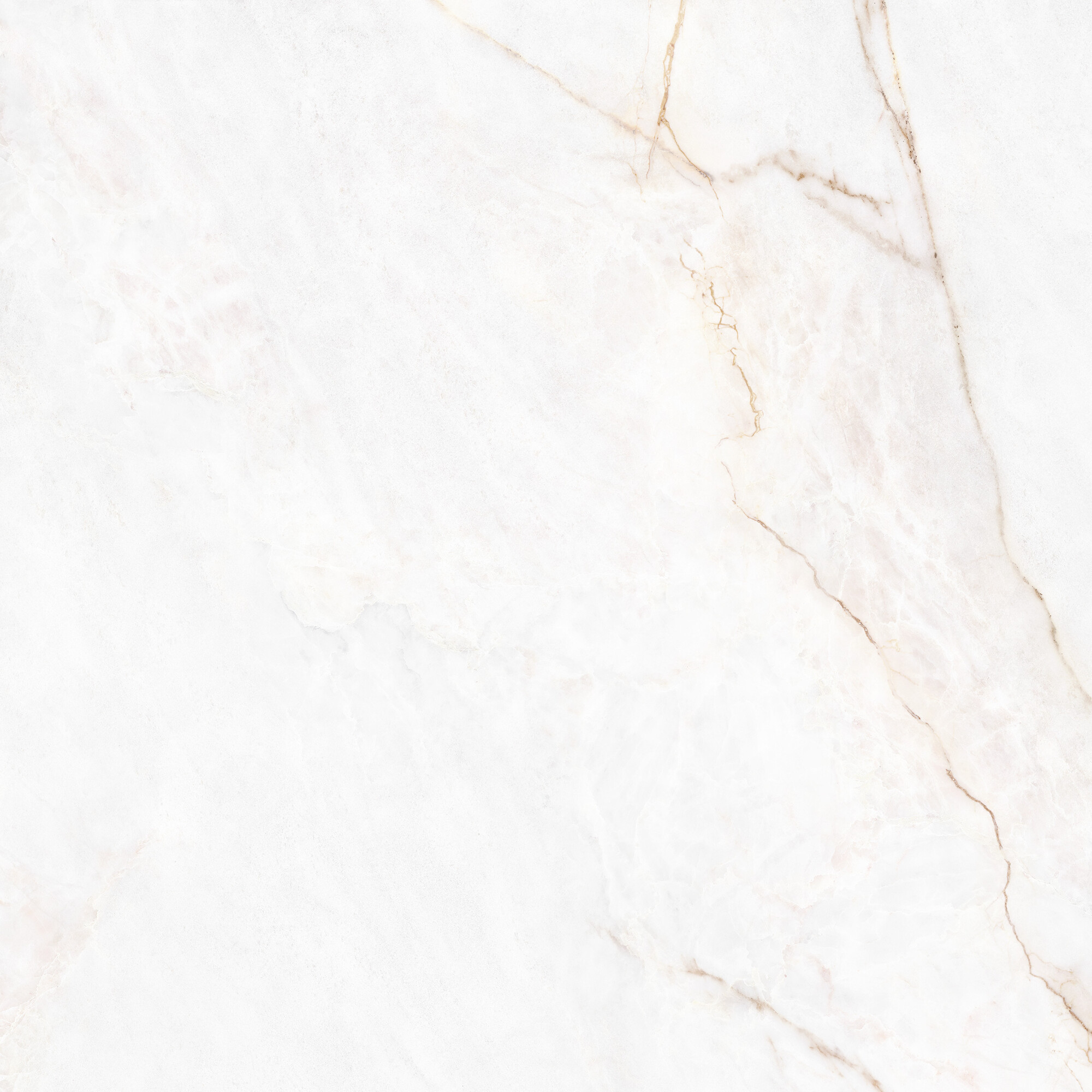 41431 Dahlia White SP/100X100X0,8/R 100x100 Peronda фото 2