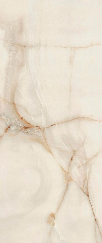 Onix Blanco Glossy 120x270 FMAX фото 3