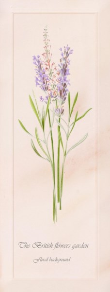 150345 Ньюкасл Декор 2 15x40 PiezaROSA
