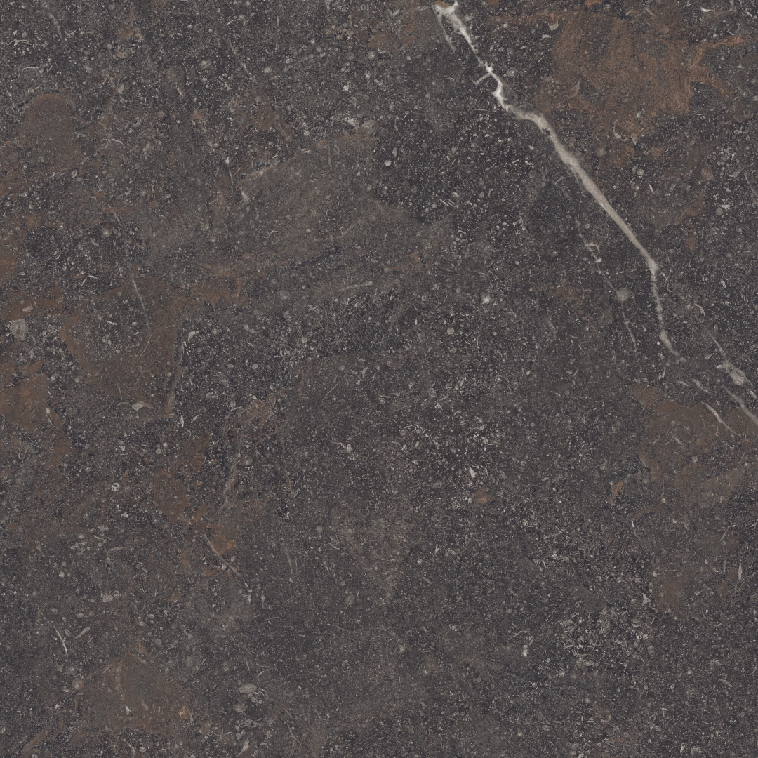 42819 Royal Brown/100X100X0,8/A/R 100x100 Peronda фото 14