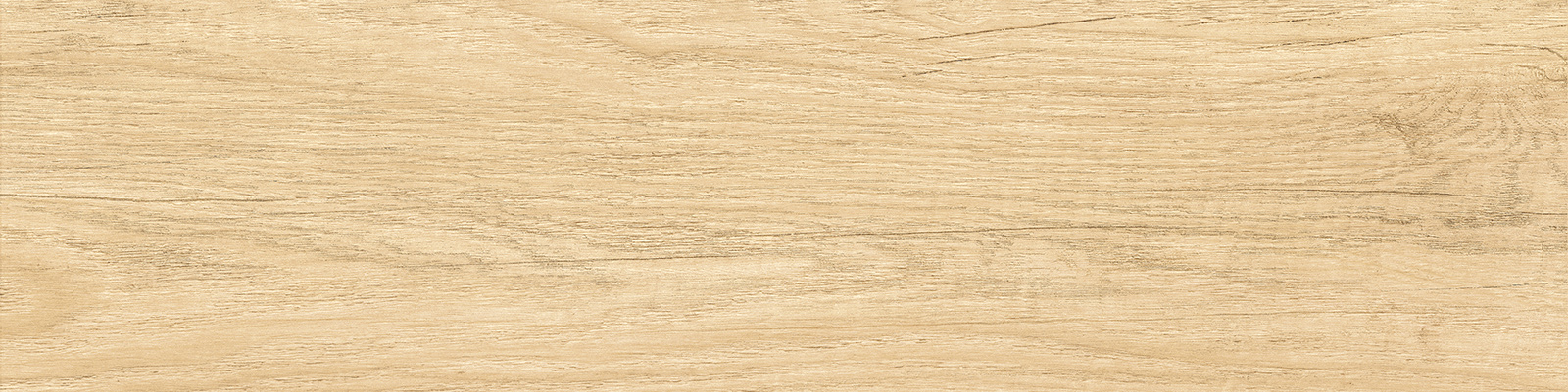 GP1560SAB11 Sunbau Oak Sugar 151x602 New Trend