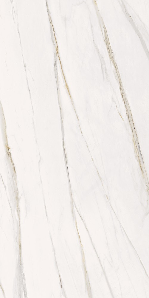 Florentino Silk Rett 60x120 Serenissima Cir
