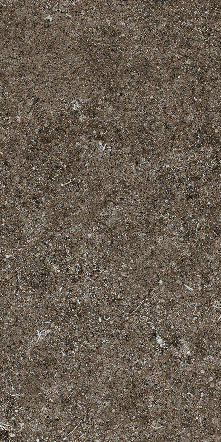 768354 Sensi Brown Fossil R+PTV Ret 40x80 Casa Dolce Casa