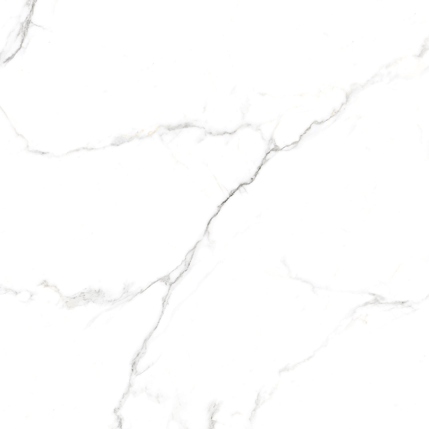 Сlassic Statuario PGVT 60x60 Casati Ceramica