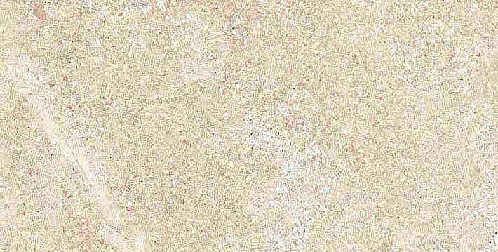 766613 Elemental Cream Limestone Nat Ret 30x60 Cerim