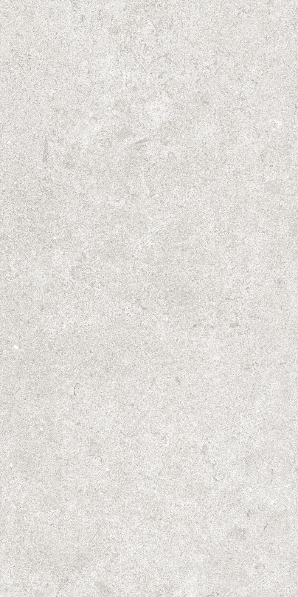 36904 Cluny Silver 4D/50X100X2/A/R 50x100 Peronda фото 2