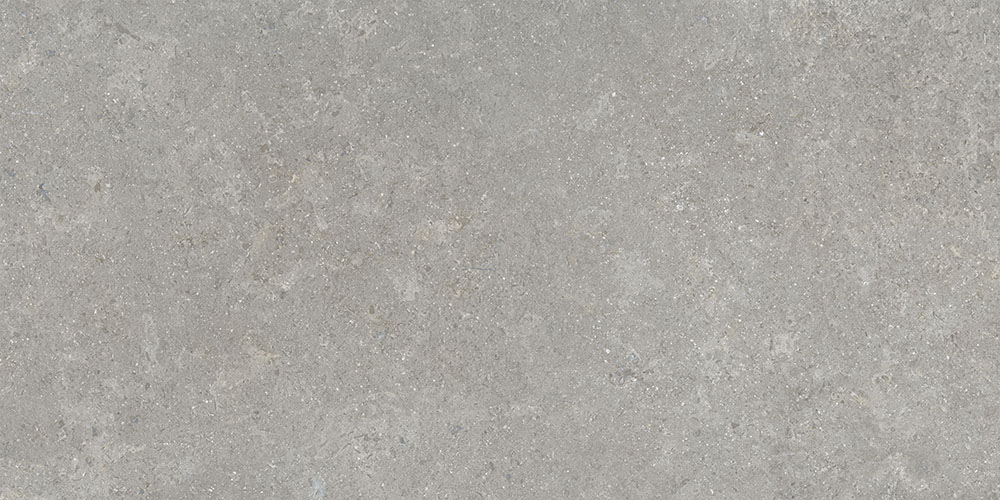 SandStone Серый Матовый R10A Ректификат 9мм 60х120 Vitra