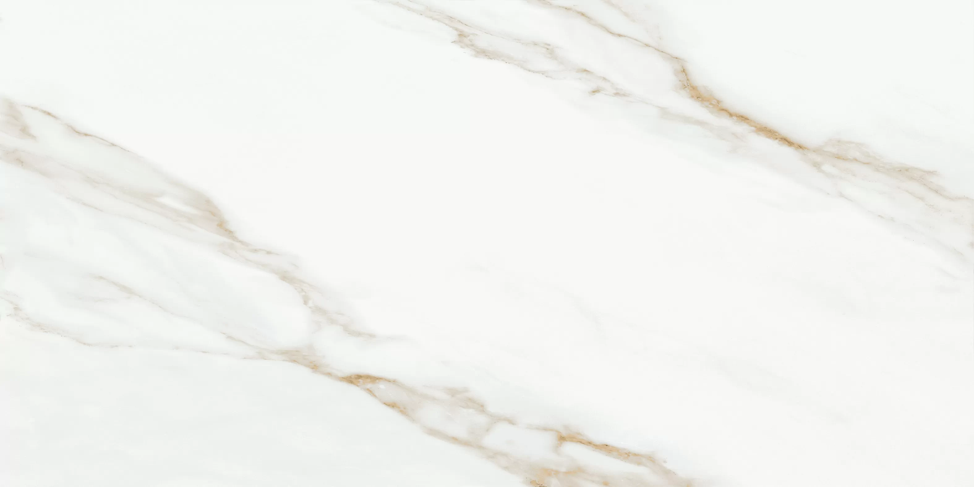 Oriental White 60x120 Bluezone фото 3