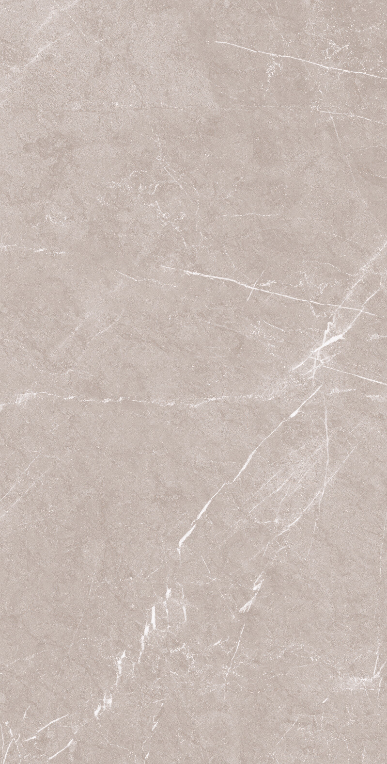 1069 Monte Grigio Carv 120x60 Artcer
