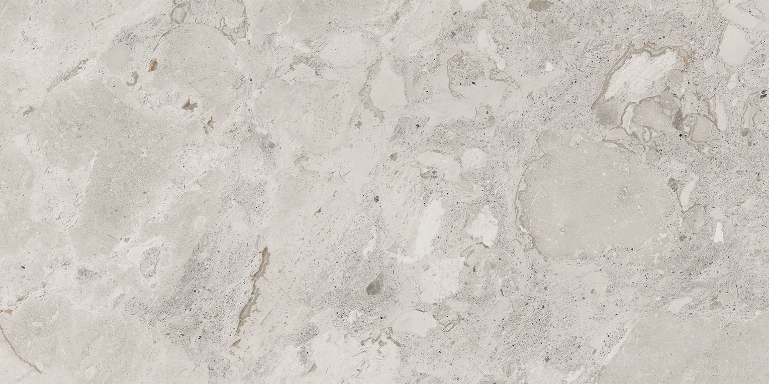 93453 Karnis Silver Matt 60x120 Cerdomus