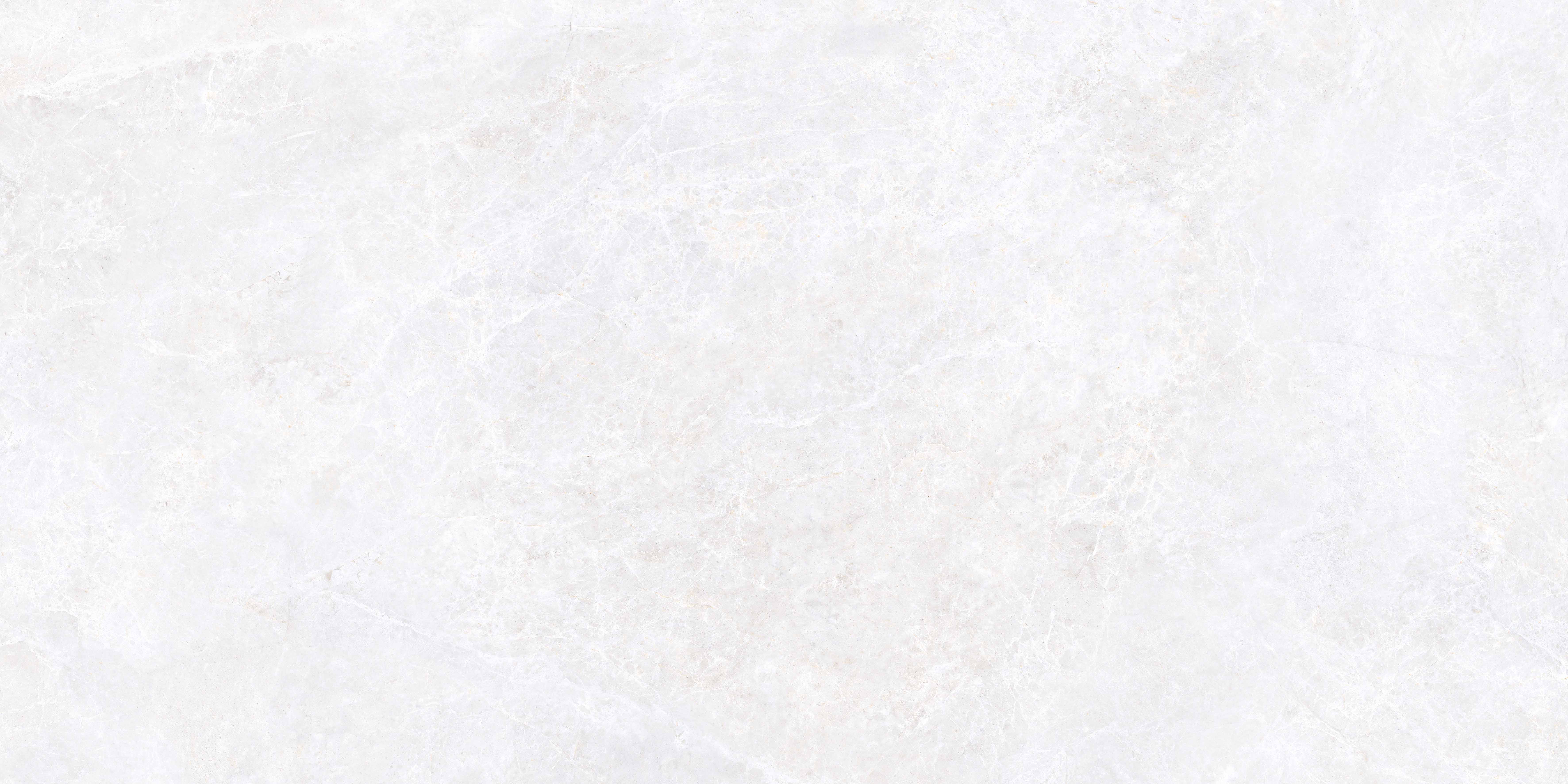 K958004R0001VTER Emperador Белый Матовый R10A Ректификат 60x120 Vitra фото 2