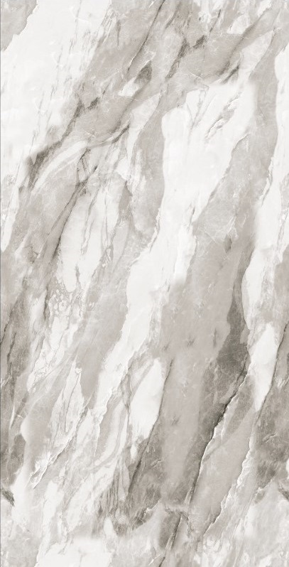 Bergen Polished Silver Carving 60x120 Realistik