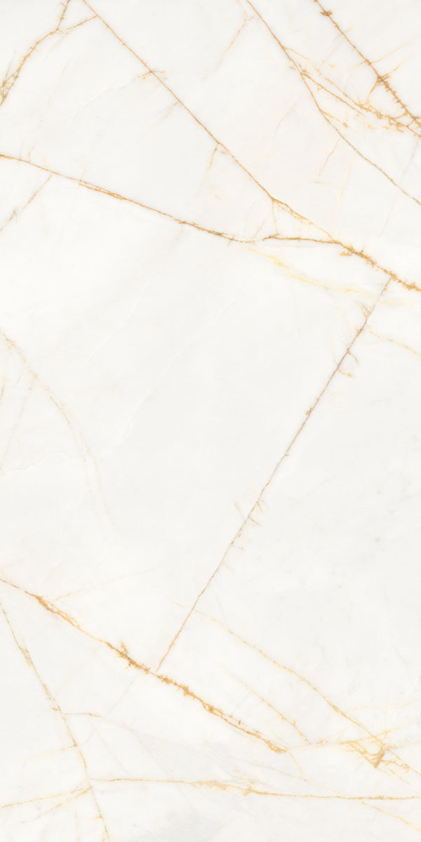 PF60017518 Supreme Hedonism Golden Spider Nat R 60x120 Flaviker
