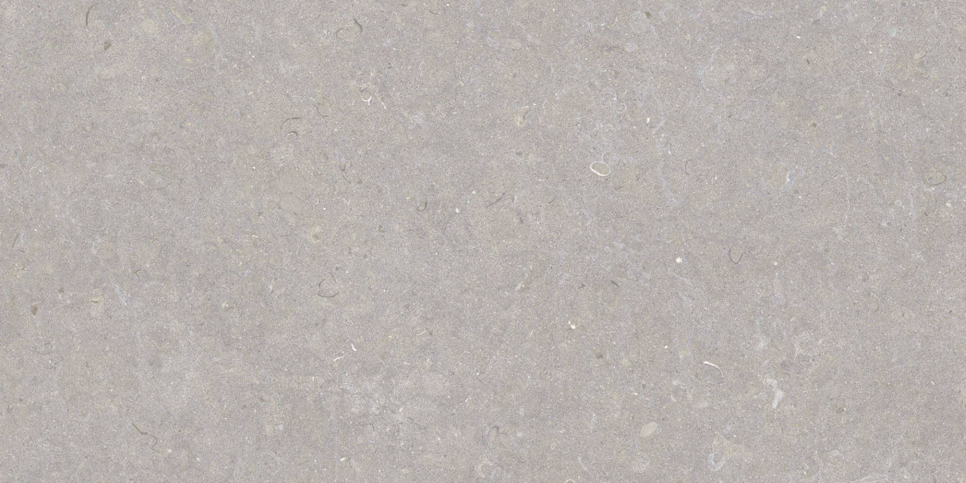 35568 Ghent Grey/50X100X2/A/R 50x100 Peronda фото 13