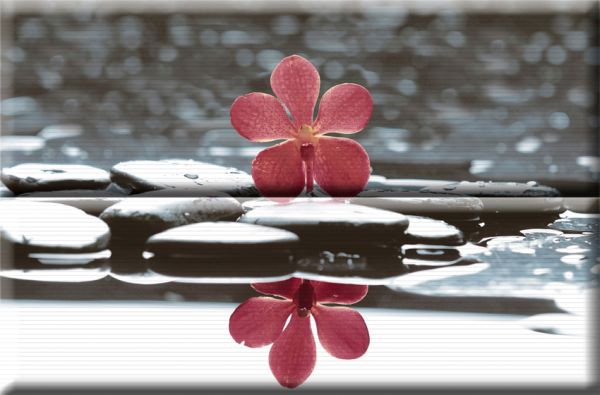 Composicion Wellness 01 Red 30x45 (комплект 2шт) Absolut Keramika