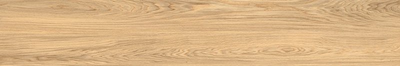 21NI01R Native Rovere Oliato NI 1 Rett 20x120 Del Conca