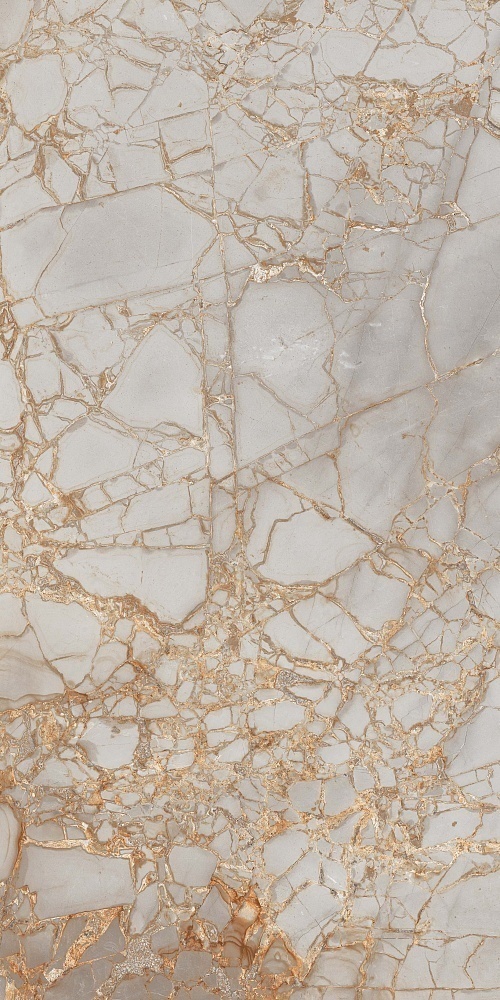 PR212 Golden Grey High glossy 600x1200 PrimaVera