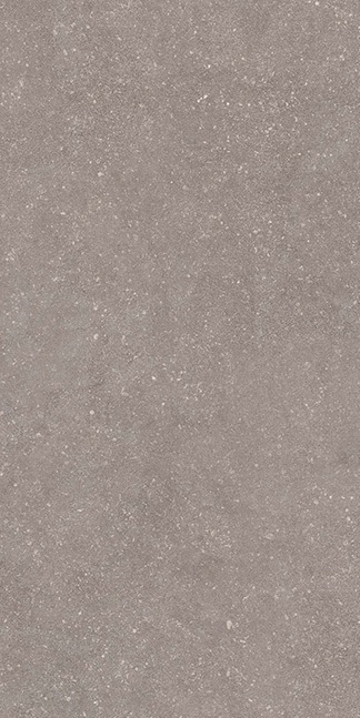 Stile French Grey Nat 60x120 Casalgrande Padana