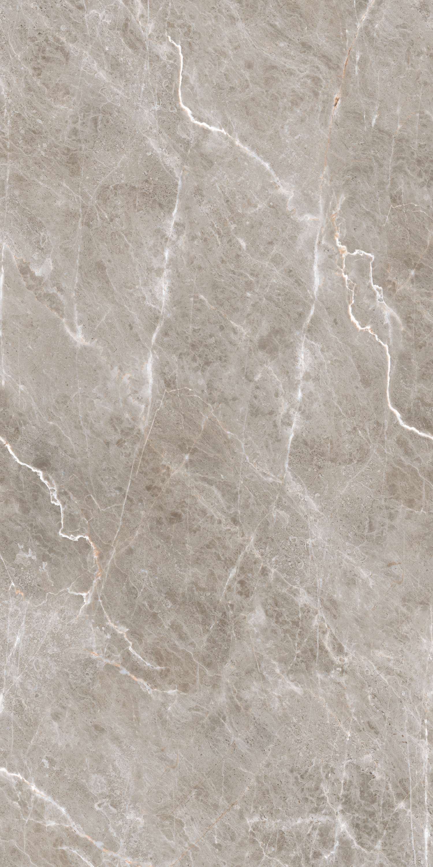 Burgass Brown Carving 60х120 Embito Granito