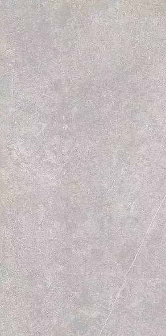 Santiago Matt 60x120 Realistik фото 3