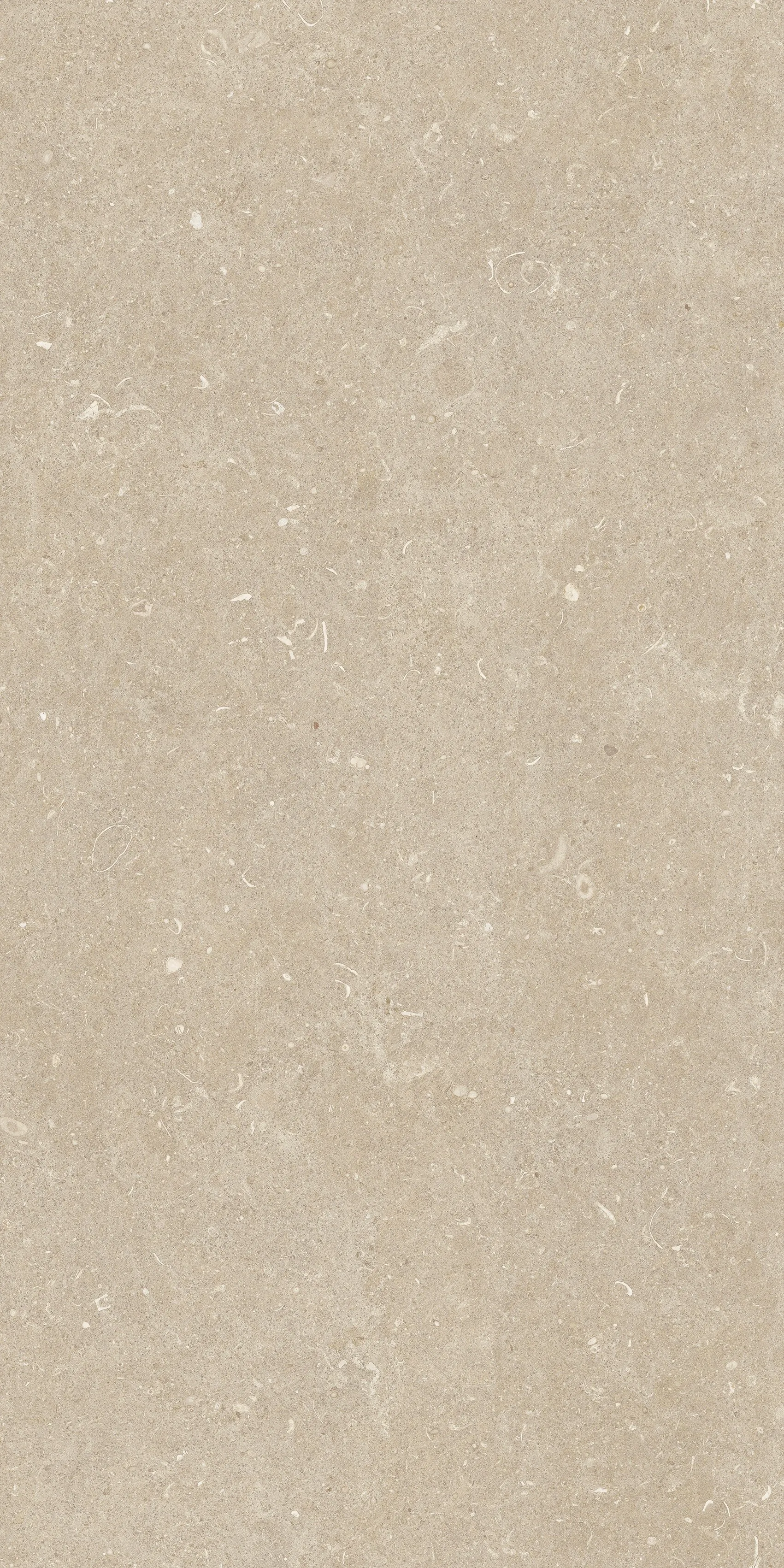 785481 Rinascenza Arena Conchiglia Matte 60x120 Casa Dolce Casa