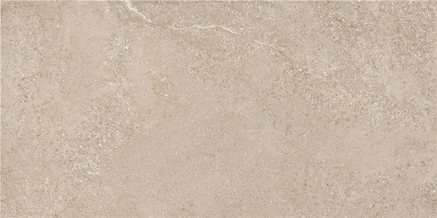 Arenite Natural Matt 60x120 STN Ceramica