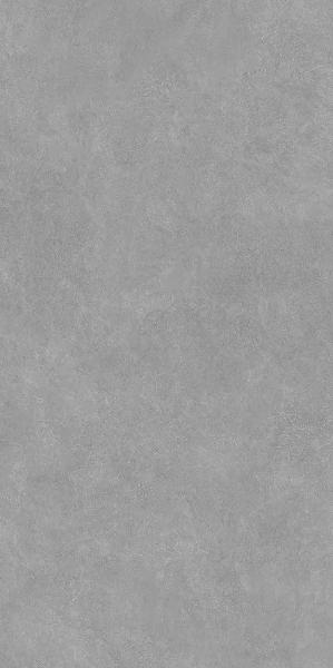DD590700R Про Стоун серый матовый обрезной 119,5x238,5 Kerama Marazzi