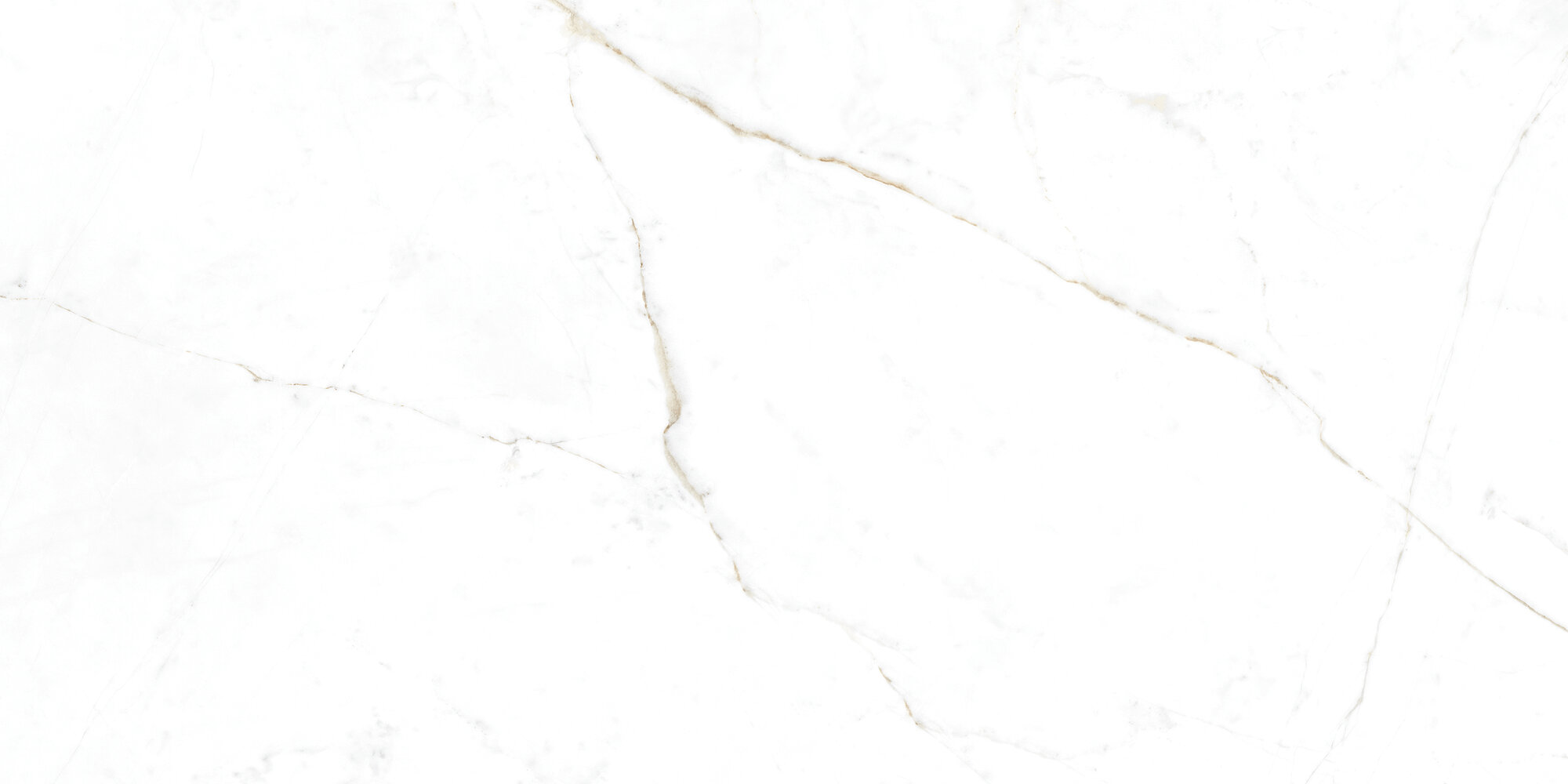 31741 Dual White EP 60x120 Peronda фото 8