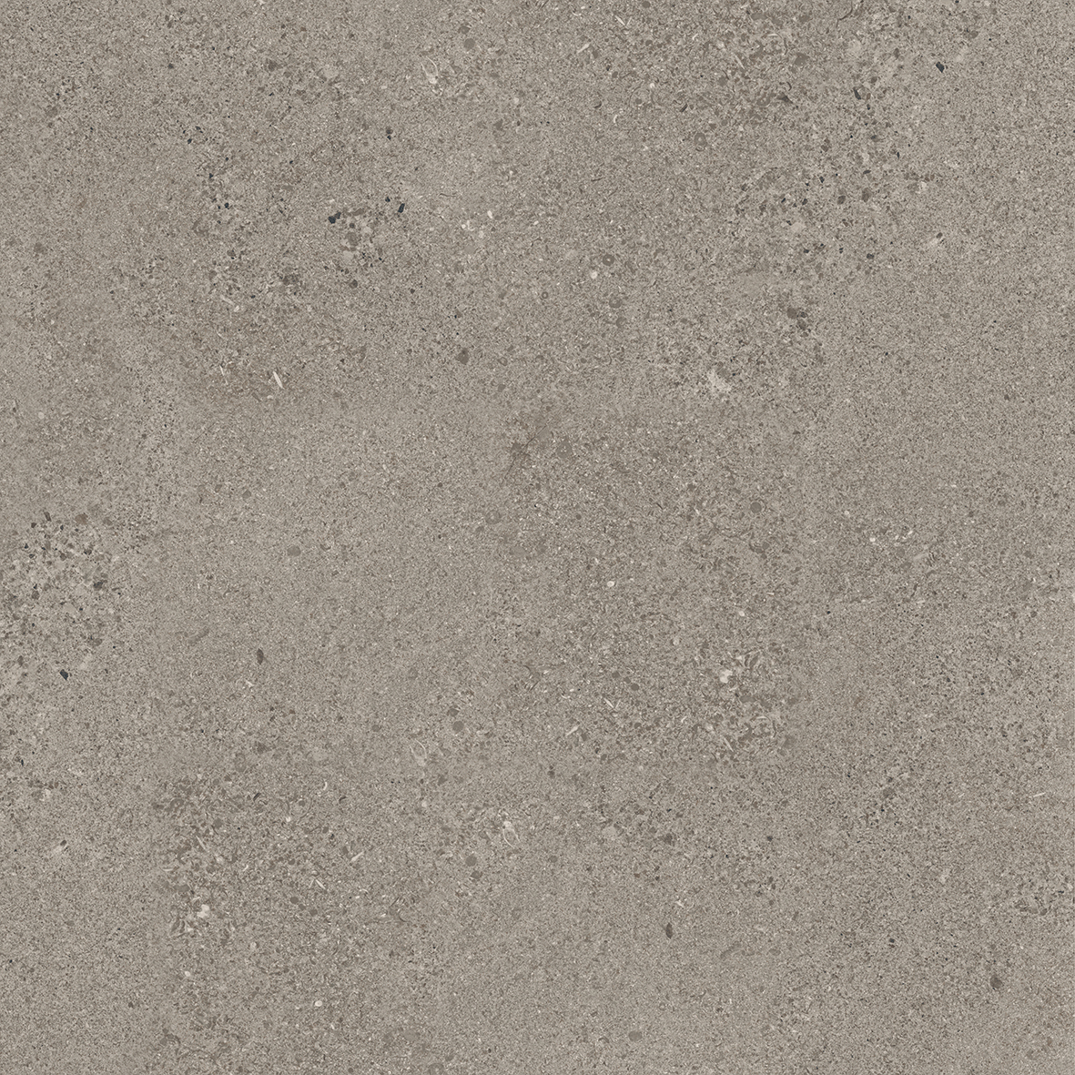 GSR0208 Antibs Бежевый темный граниль 60х60 ProGRES Ceramica